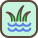 wetland